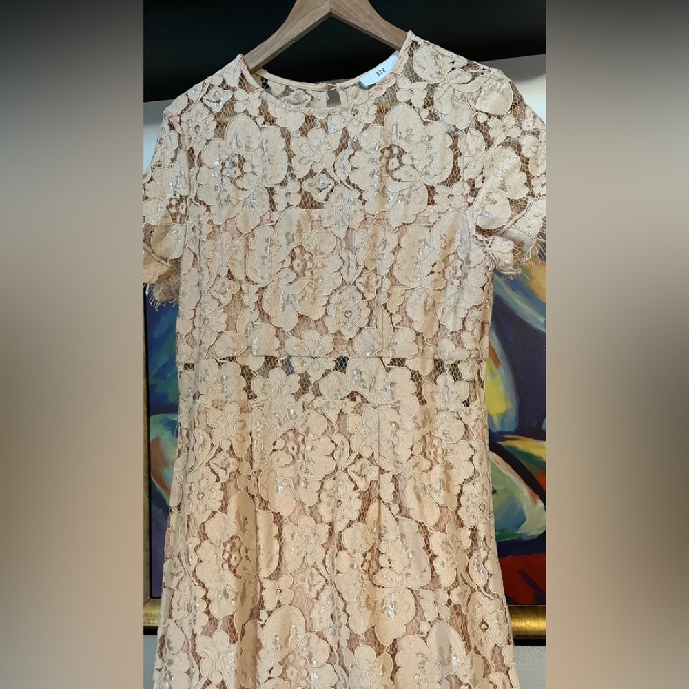 NSR Lace Short Sleeves MIDI Sheath women’s Dress - Picture 6 of 11
